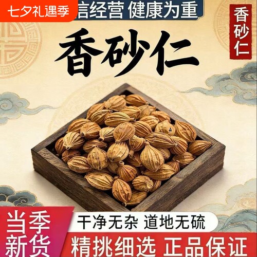 香砂仁四川川砂仁500g商用香料