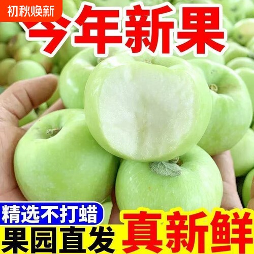 青苹果当季现摘水果酸甜爽口红富士新鲜头茬早熟嘎啦果一整箱包邮