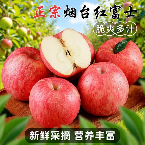 山东烟台栖霞正宗红富士当季脆甜苹果冰糖孕妇新鲜水果整箱批发