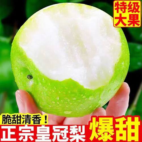 河北青皮皇冠梨3斤脆甜多汁新鲜水果当季水果批发整箱包邮