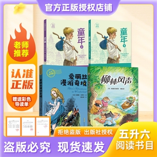万物复书26暑五升六年级童年上下册高尔基著插画新绘版爱丽丝漫游奇境名译刘易斯·卡罗尔柳林风声精编插图版赠导读单阅读正版