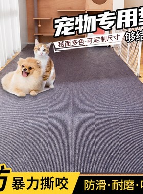 宠物猫狗垫子地毯防撕咬防水防尿