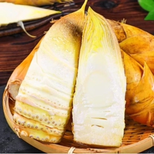 湖南祁阳冬笋毛竹笋天然新鲜现挖鲜嫩现发大人孩子都爱吃好吃食用