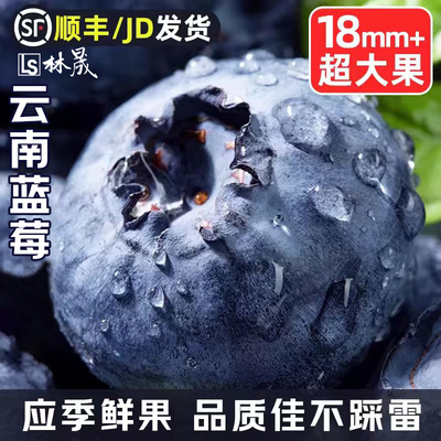 云南高山花香蓝莓头茬鲜果L25特大果怡佳颗沃应当季水果整箱顺丰