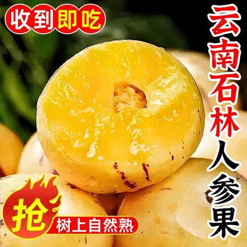 云南人参果水果圆果黄肉大果