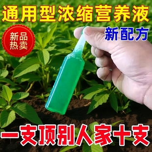 营养液植物通用型盆栽发财树富贵竹绿萝水培花卉绿植养花肥料室内
