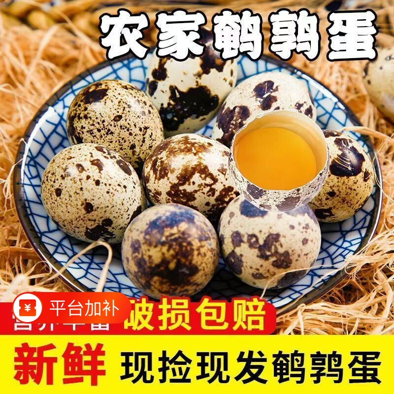 农家杂粮喂养新鲜生鹌鹑蛋绿色杂粮口感细腻包邮农场整箱发货批发