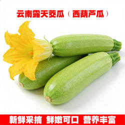 新鲜蔬菜西葫芦小瓜云南产地直发鲜嫩茭瓜三月瓜三叶瓜应季蔬菜