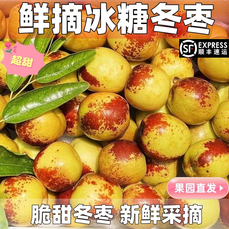 顺丰包邮正宗冬枣新鲜大果应季整箱枣子现摘脆枣冰糖大枣当季水果