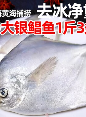 巡洋星新鲜银鲳鱼4斤海鲜深海
