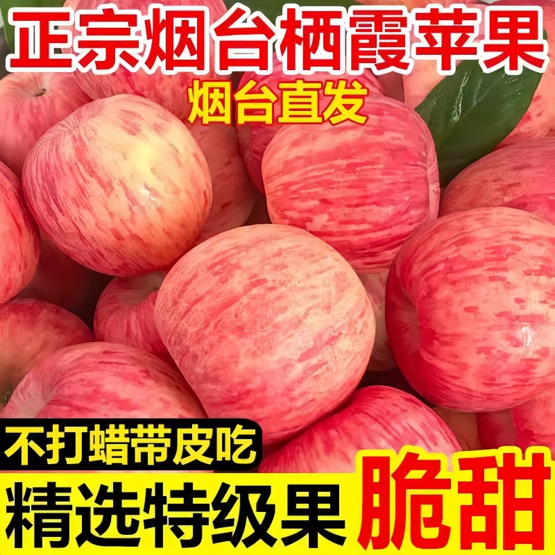 正宗烟台新鲜红富士苹果水果新鲜当季冰糖心脆甜大果新鲜采摘
