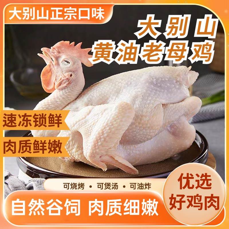 大别山黄油老母鸡带蛋花黄油走地鸡整鸡走地鸡月子鸡煲汤食材,水产肉类/新鲜蔬果/熟食,整鸡/整鸡制品,淘宝优惠券,粉丝福利购,淘宝优惠卷
