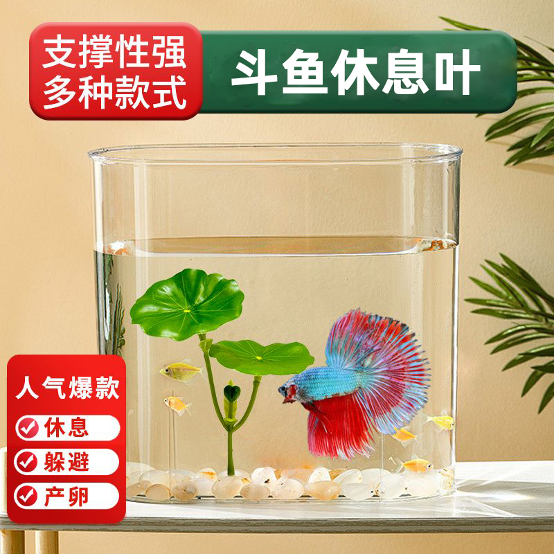 斗鱼睡觉休息产卵叶片鱼缸造景装饰仿真荷叶鱼宠躲避栖息安全无毒