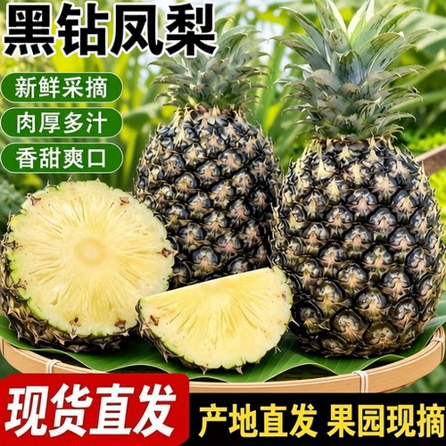 云南黑钻凤梨新鲜水果鲜菠萝当季手撕正宗大果带箱装特产孕妇热带