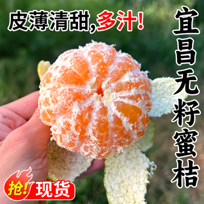 宜昌蜜桔3/5/9斤新鲜水果青皮蜜橘应季早熟橘子无籽桔子整箱包邮