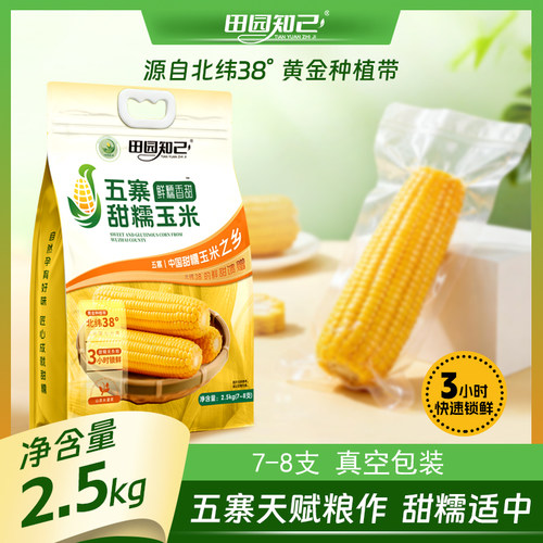 田园知己甜糯玉米黄金粗粮