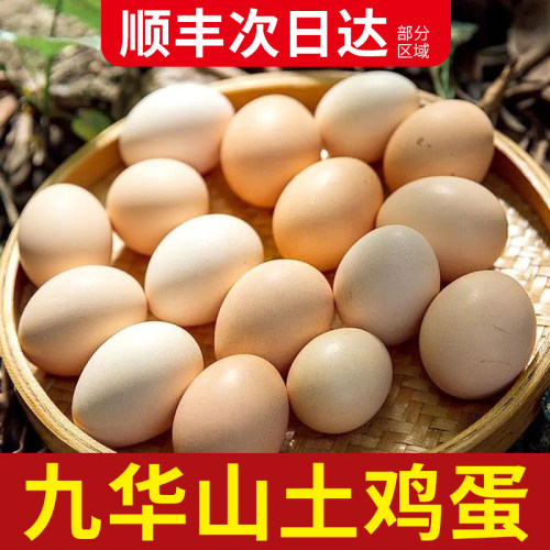 皖南九华山顺丰包邮66枚正宗慢养土鸡蛋五谷喂养新鲜鸡蛋