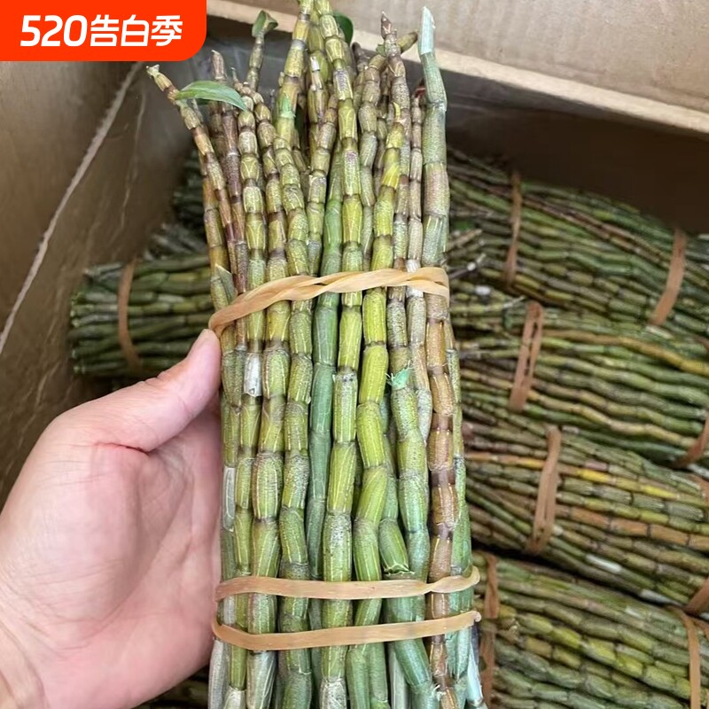 云南新鲜铁皮石斛鲜条食用滋补仿野生种植2-7年生现剪现发