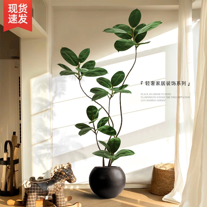 仿真绿植黑金刚|超1.5万次加购图片