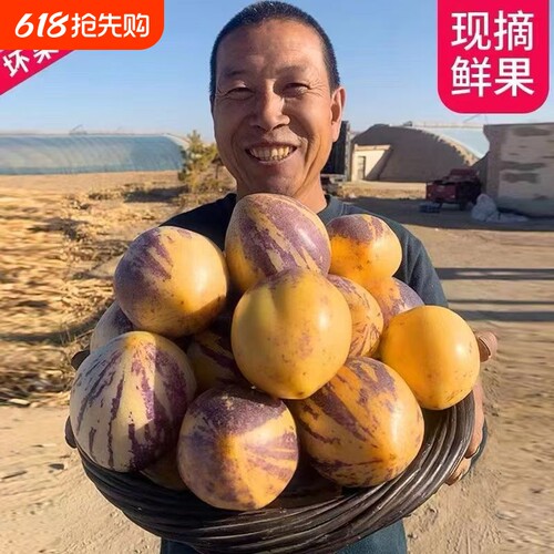 甘肃民勤人参果黄心当季整箱应季黄肉批发低糖沙漠新鲜人生水果