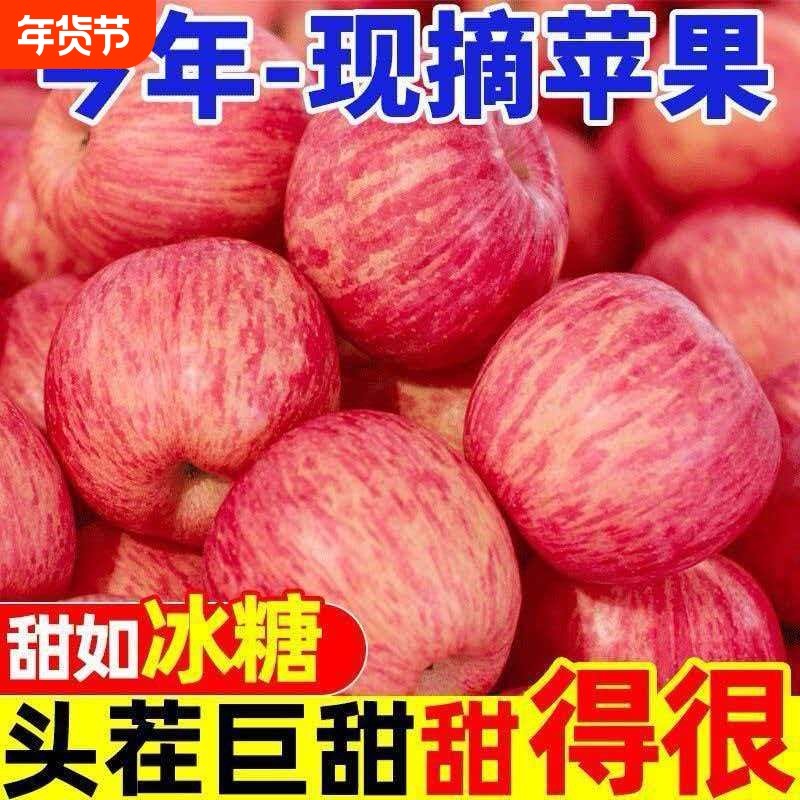 冰糖心正宗山西红富士丑苹果脆甜苹果当季新鲜水果批发现摘,水产肉类/新鲜蔬果/熟食,苹果,淘宝优惠券,粉丝福利购,淘宝优惠卷