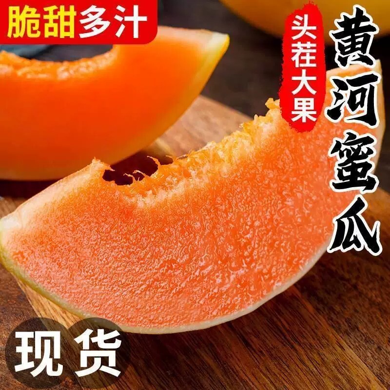 正宗头茬黄河蜜瓜甜新鲜水果应当季整箱陕西沙漠黄金脆香瓜哈密瓜