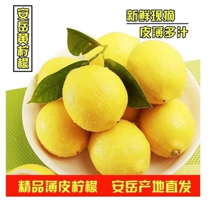 包邮 孕妇水果奶茶店商用产地发货 四川安岳黄柠檬新鲜采摘一级应季