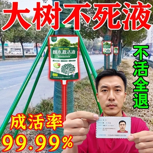 大树营养液吊针袋果树移栽树木激活液桂花树强力生根药水枯树再生