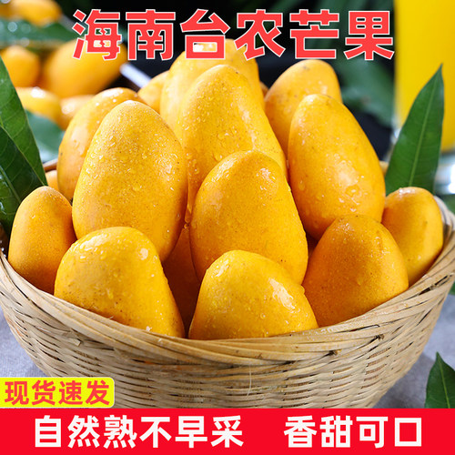 海南小台农芒果新鲜水果当季整箱时令应季热带特产大果鲜甜多汁
