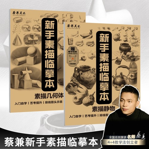 蔡兼素描几何体临摹本零基础石膏单体组合新手美术绘画教材书籍