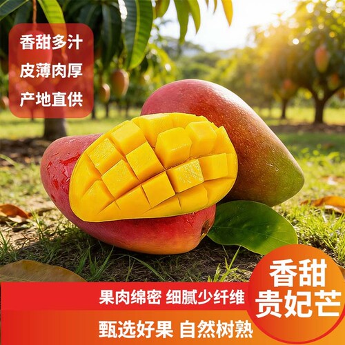 海南贵妃芒新鲜芒果10斤当季水果红金龙辣椒芒甜心芒大果整箱包邮