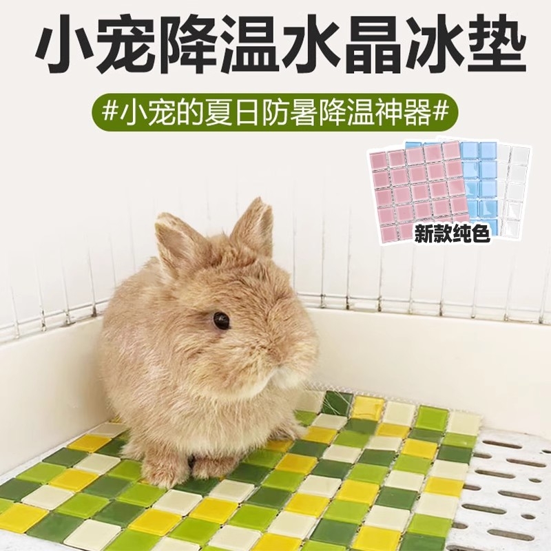 兔子冰垫消暑冰垫龙猫降温用品宠物降温板散热仓鼠荷兰猪兔子冰窝