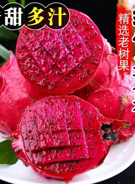 西双版纳熟透了红心火龙果超甜新