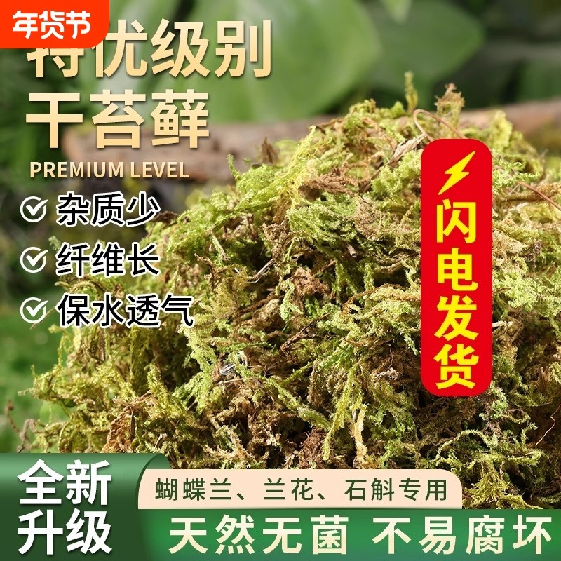 干苔藓水苔青苔兰花蝴蝶兰石斛种植专用营养土乌龟垫材鲜活铺面