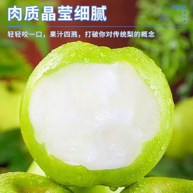 梨子新鲜水果砀山青梨皇冠梨当季翠冠梨早雪梨现摘脆甜多汁直发图片
