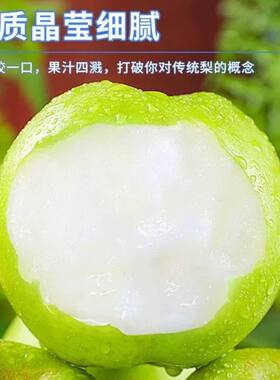 梨子新鲜水果砀山青梨皇冠梨当季翠冠梨早雪梨黄冠梨现摘脆甜多汁