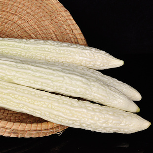 白玉苦瓜新鲜白苦瓜农家自种产地直发新鲜 长白苦瓜灌肉煲汤 包邮