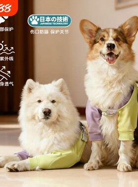 狗狗护肘衣加厚关节保护套