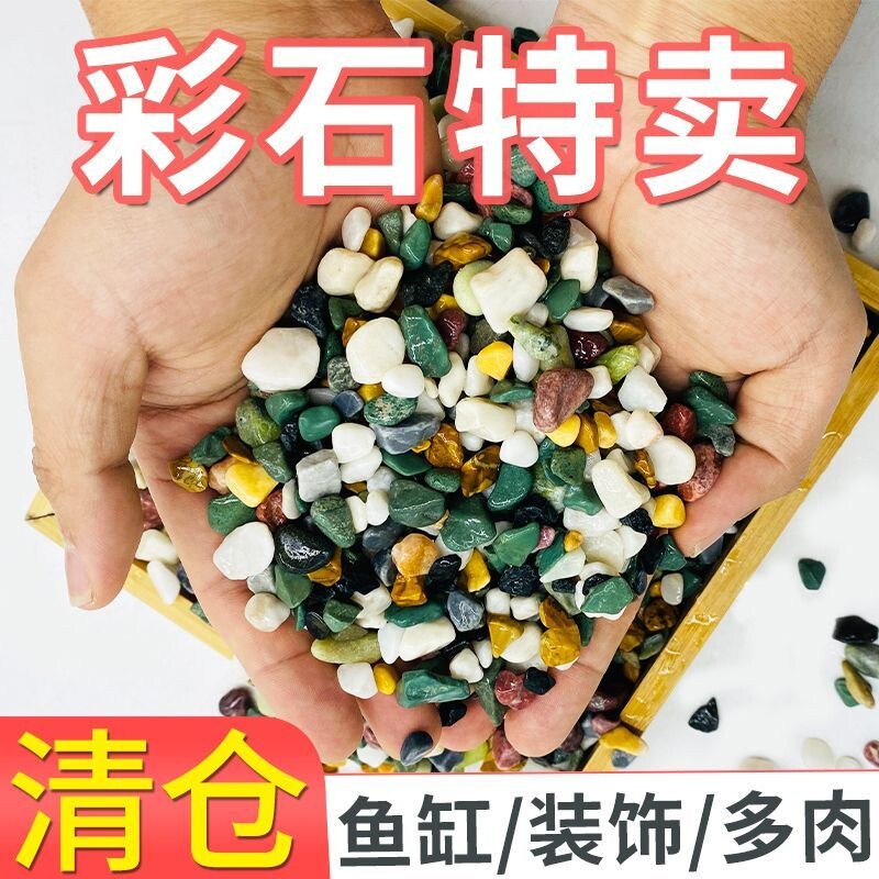 天然彩石五花石多肉铺面石鱼缸造景石底砂彩色石头小石子庭院装饰