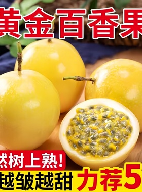 正宗广西黄金百香果钦蜜9号新鲜现摘特大果水果黄色纯甜皱皮原浆