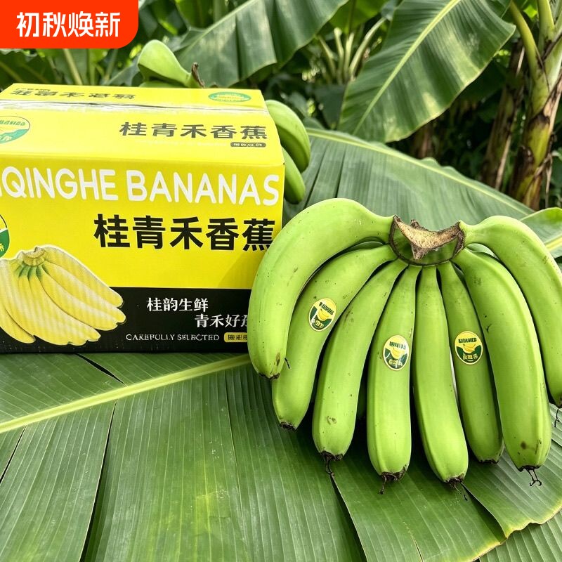 新鲜水果高山青皮甜香蕉5斤