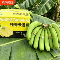 新鲜水果高山青皮甜香蕉5斤