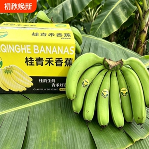 新鲜水果高山青皮甜香蕉5斤