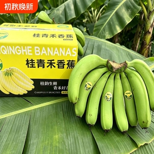 新鲜水果高山青皮甜香蕉5斤