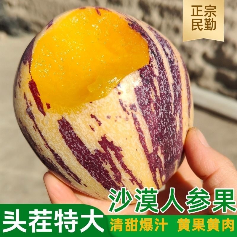 正宗当应季甘肃沙漠民勤人参果大果清甜多汁新鲜水果低糖孕妇可食,水产肉类/新鲜蔬果/熟食,人参果,淘宝优惠券,粉丝福利购,淘宝优惠卷