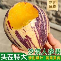 正宗当应季甘肃沙漠民勤人参果大果清甜多汁新鲜水果低糖孕妇可食