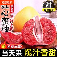 广西正宗老树红心蜜柚5斤