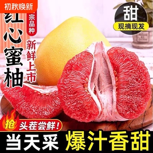 广西正宗老树红心蜜柚5斤