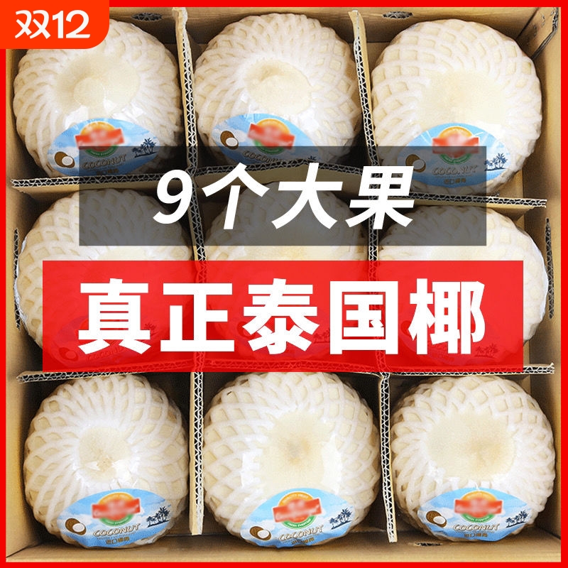 泰国进口椰青大果9个装新鲜椰子当季香水椰青儿童水果整箱包邮