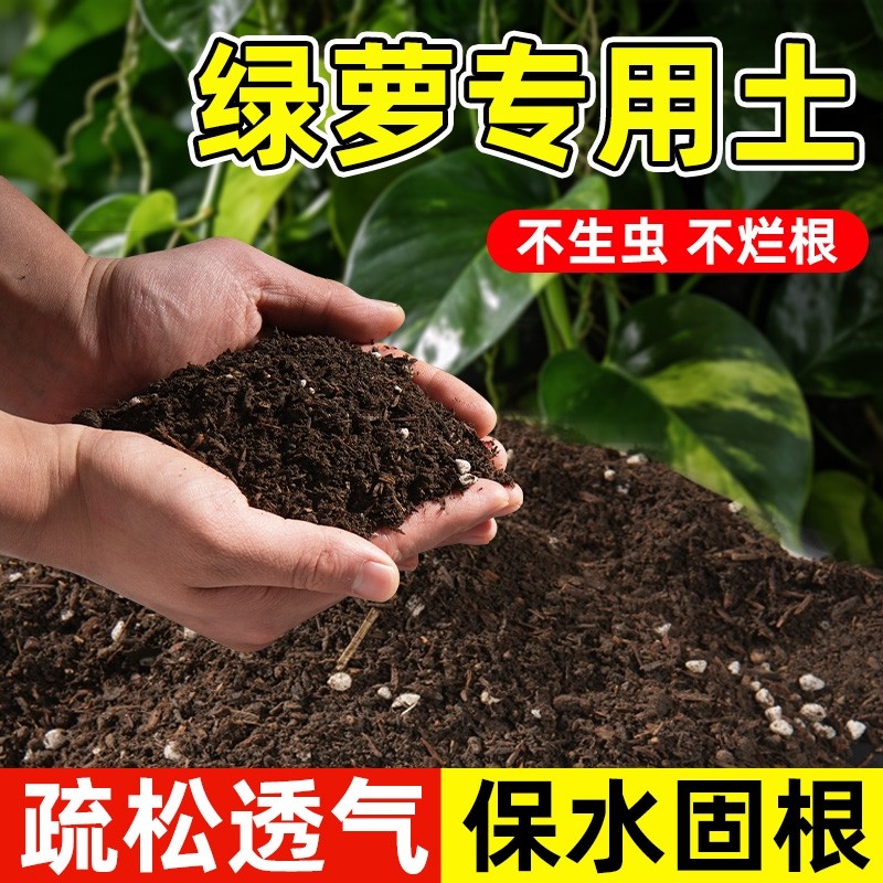 营养土绿萝专用疏松透气绿植专用室内肥料种植土壤多肉绿萝专用土
